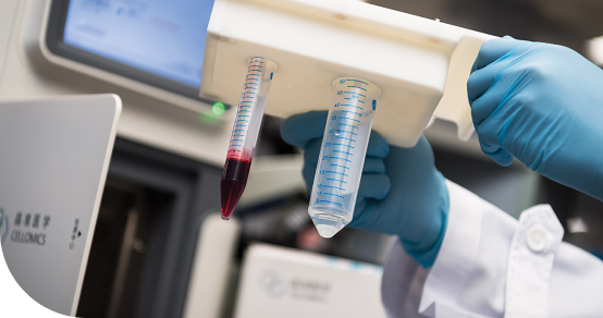 Institute of Digital Medicine (IDM)